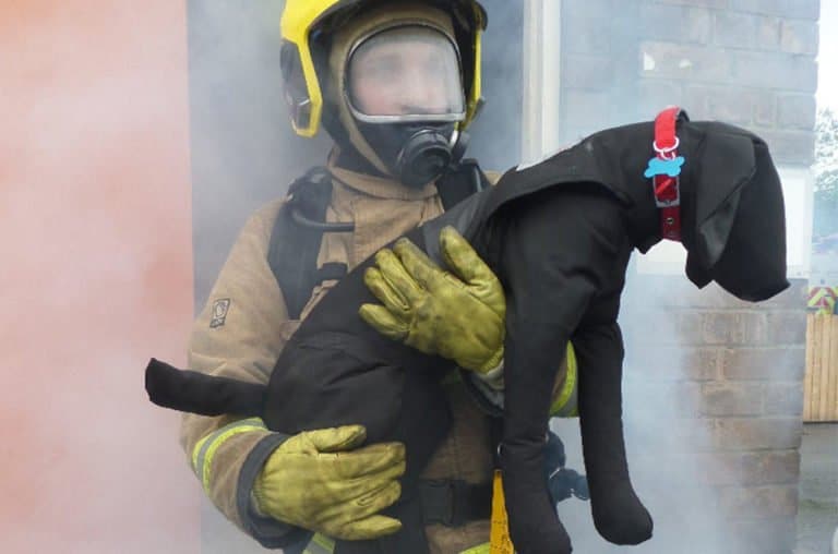 Firefighter rescuing a dog from smoky building.