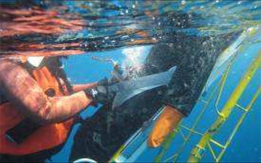 French Navy happy with Man Overboard manikin