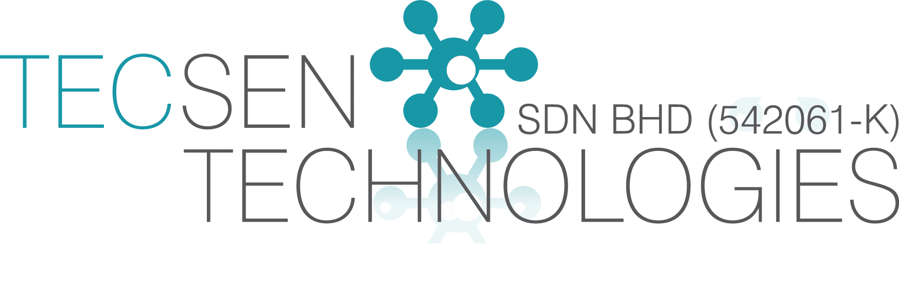 Ruth Lee » Tecsen Technologies