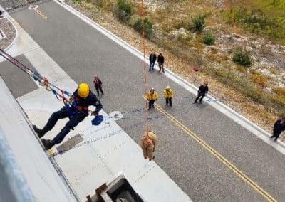 Firefighters conducting a high-rise emergency rope rescue.