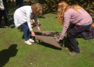 Setting up camping equipment in a sunny park.