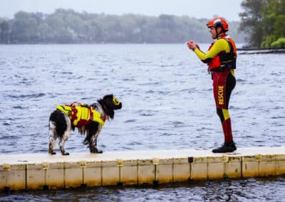 Saving Lives, One Paw at a Time: How This Newfie Uses Ruth Lee Manikins in Canine Water Rescue Training
