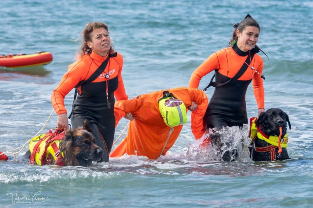 sics firenze forte dei marmi italy fb mob dog sept 25