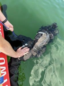 specjalistyczna służba poszukiwawczo ratownicza poland fb body recovery 3 jul 25