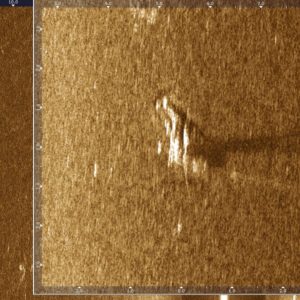 fundacja.sspr medline poland em body recovery sonar dec 25 (3)