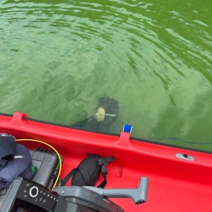 fundacja.sspr medline poland em body recovery sonar dec 25 (9)