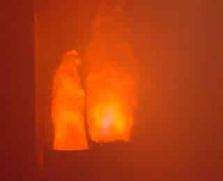 Keep Your Flames Dancing: How to Revive and Maintain Your FireWare Silkflame