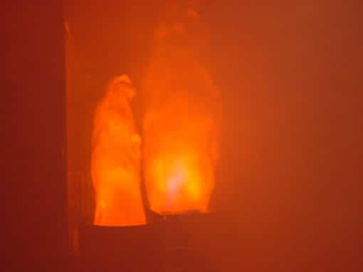 Keep Your Flames Dancing: How to Revive and Maintain Your FireWare Silkflame